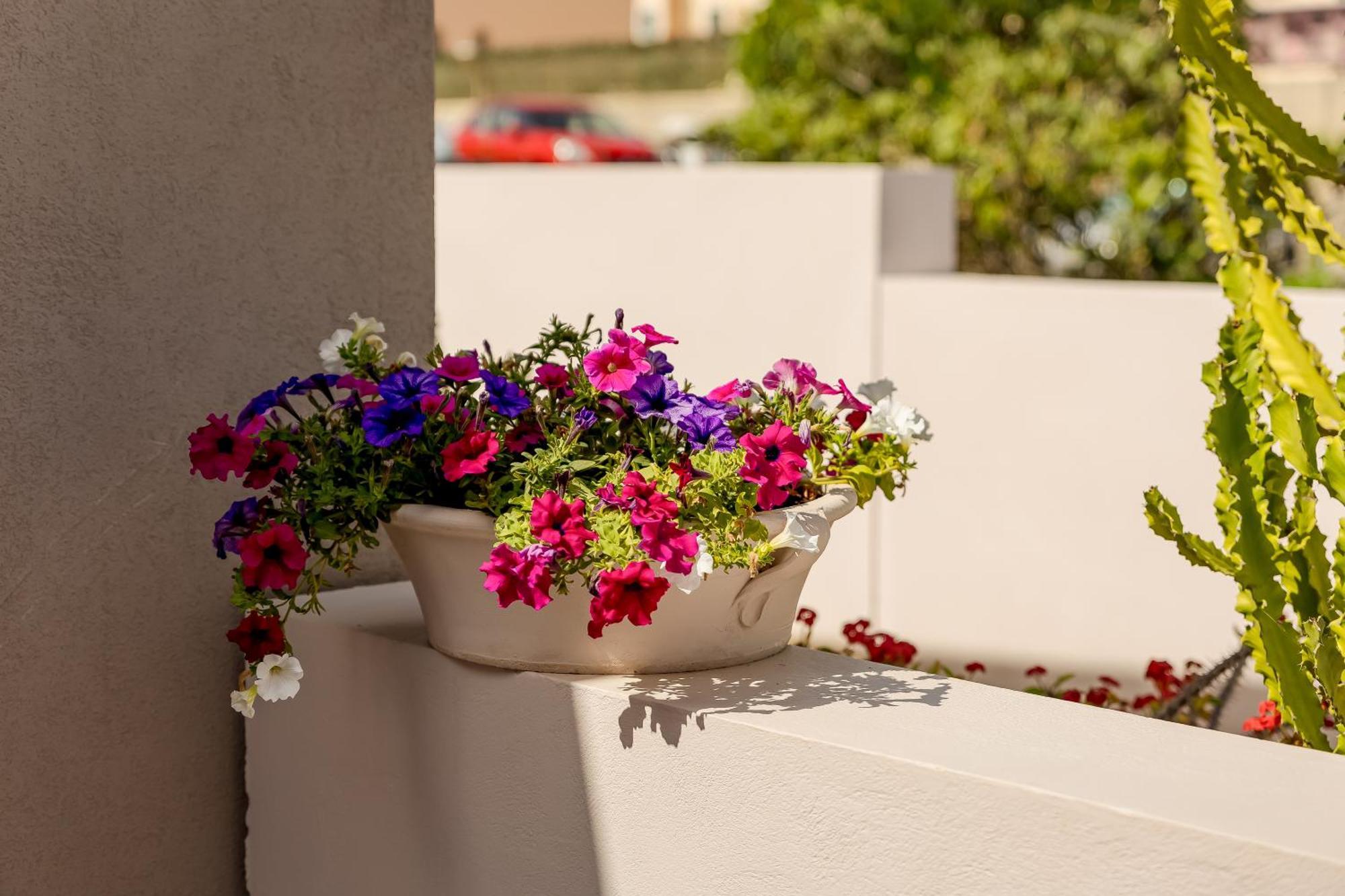 Sarpidon Suites Agia Marina Exterior foto